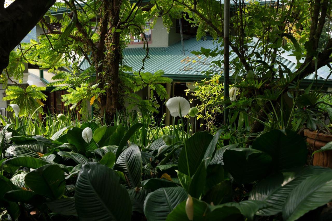 Kandy Tree Tops Екстериор снимка