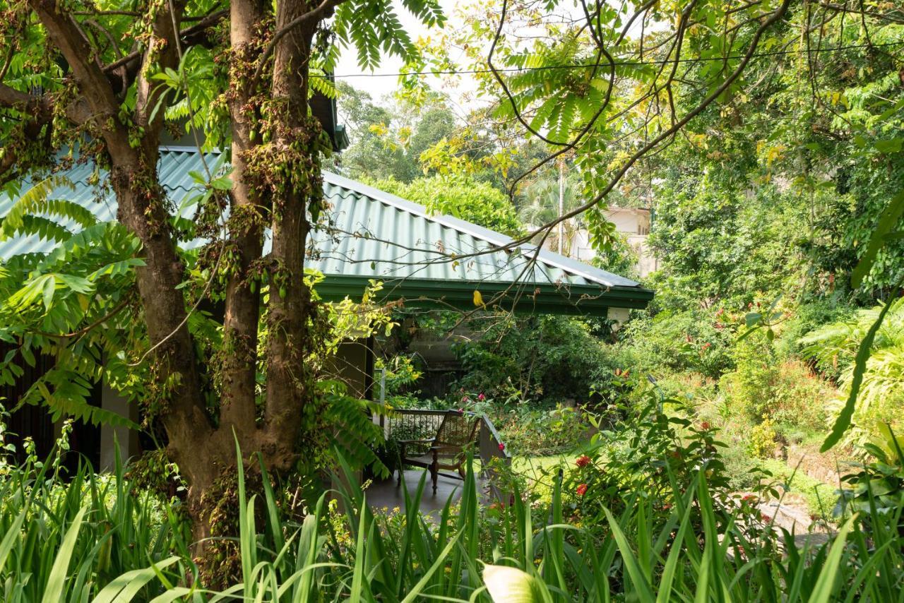 Kandy Tree Tops Екстериор снимка