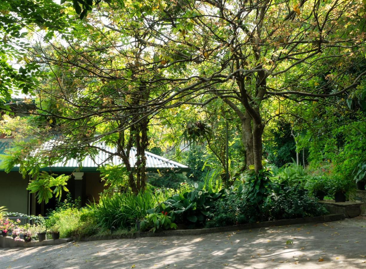 Kandy Tree Tops Екстериор снимка