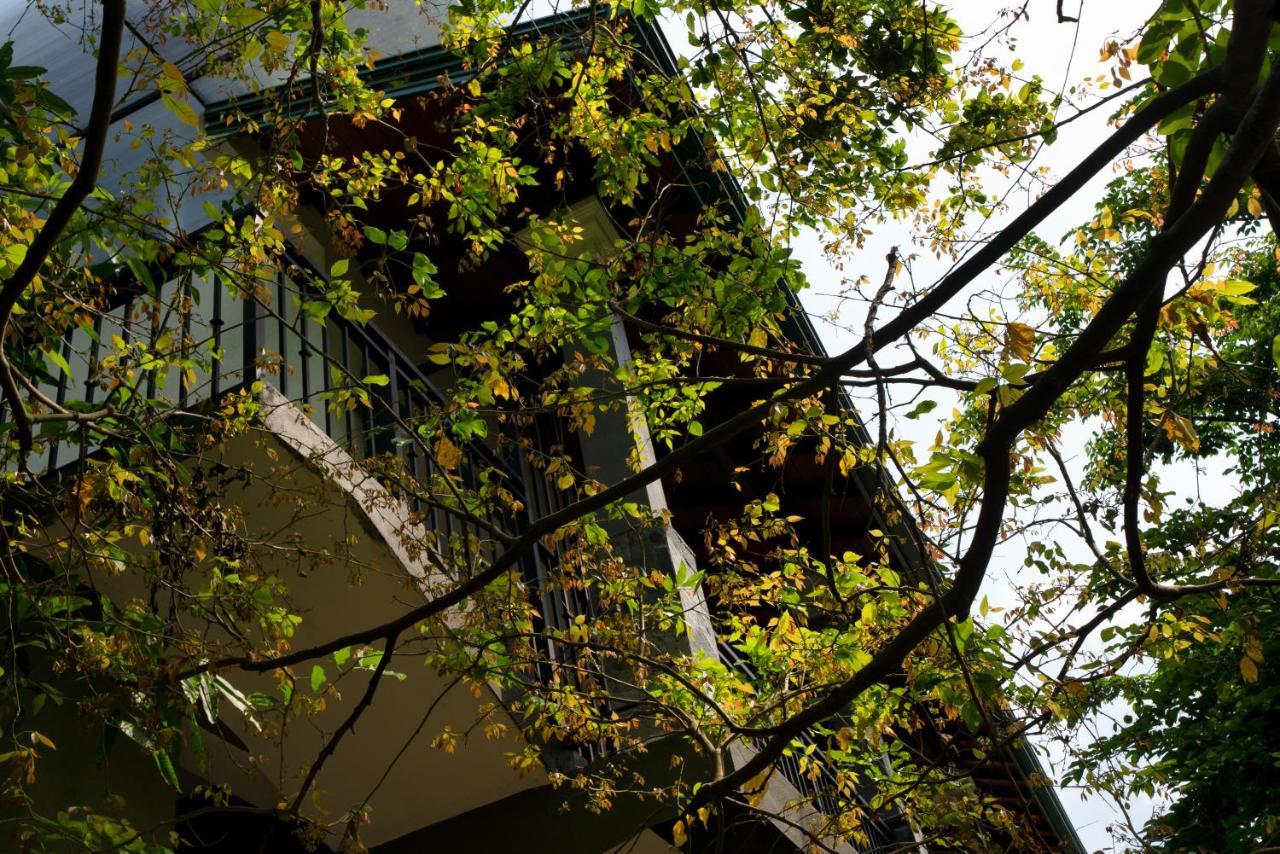 Kandy Tree Tops Екстериор снимка